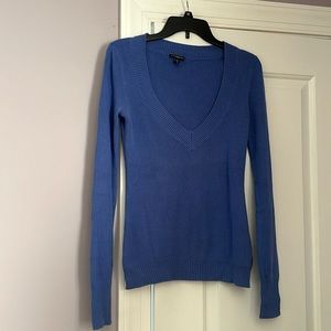Blue v neck sweater by express